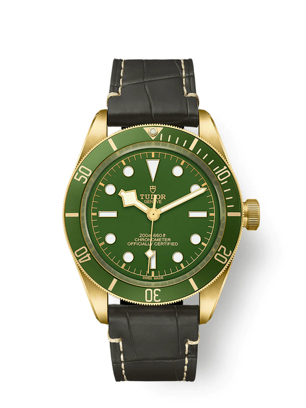 Reloj Tudor Black Bay Pro Automático de 39 mm en Acero Inoxidable con Esfera Verde