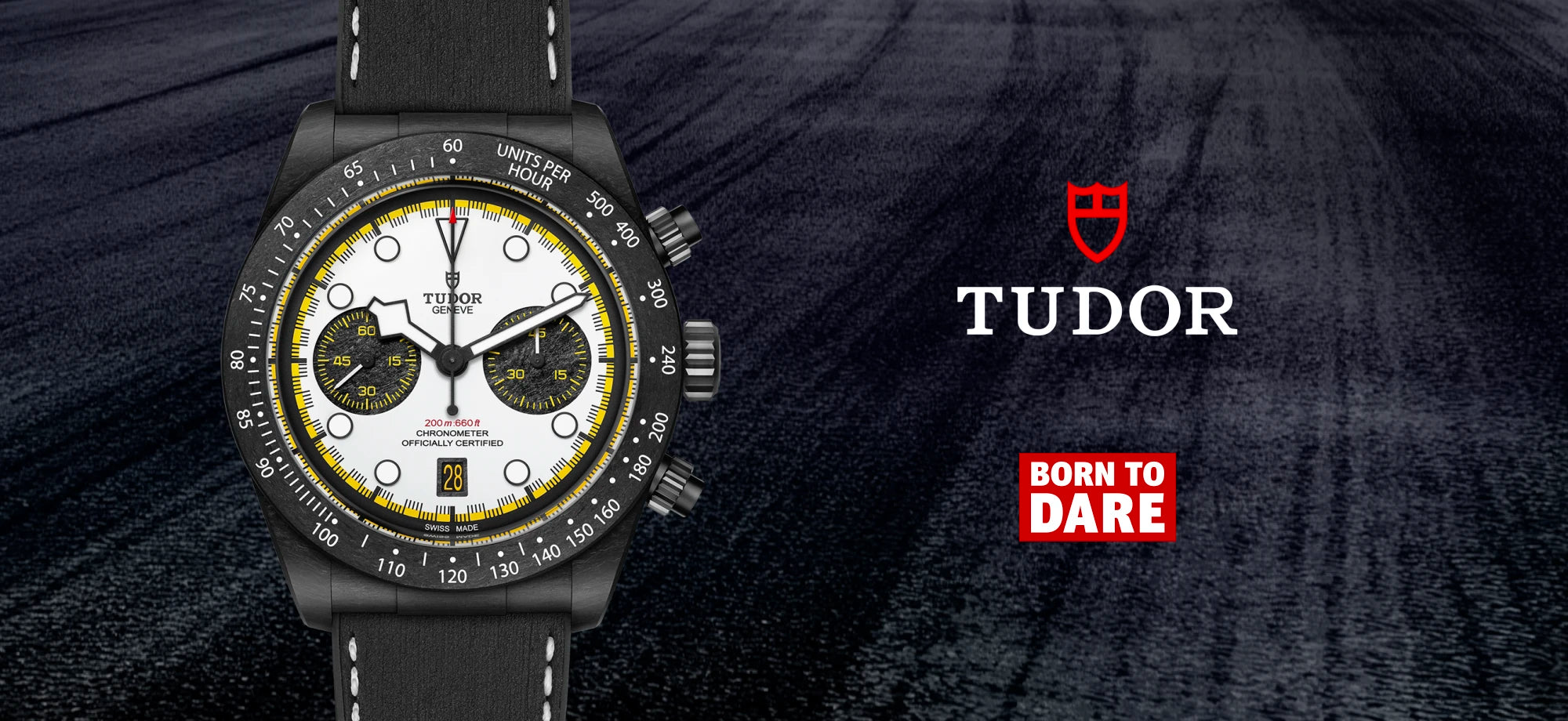 Tudor hero