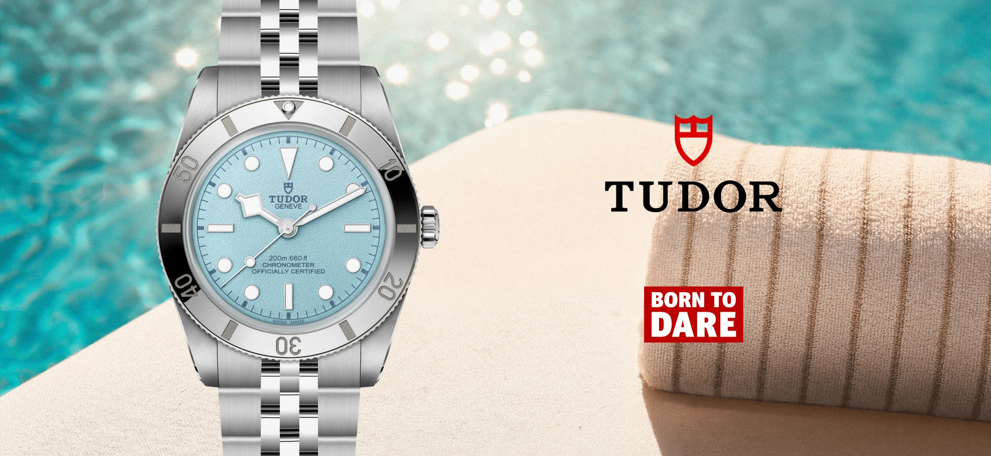 Tudor hero