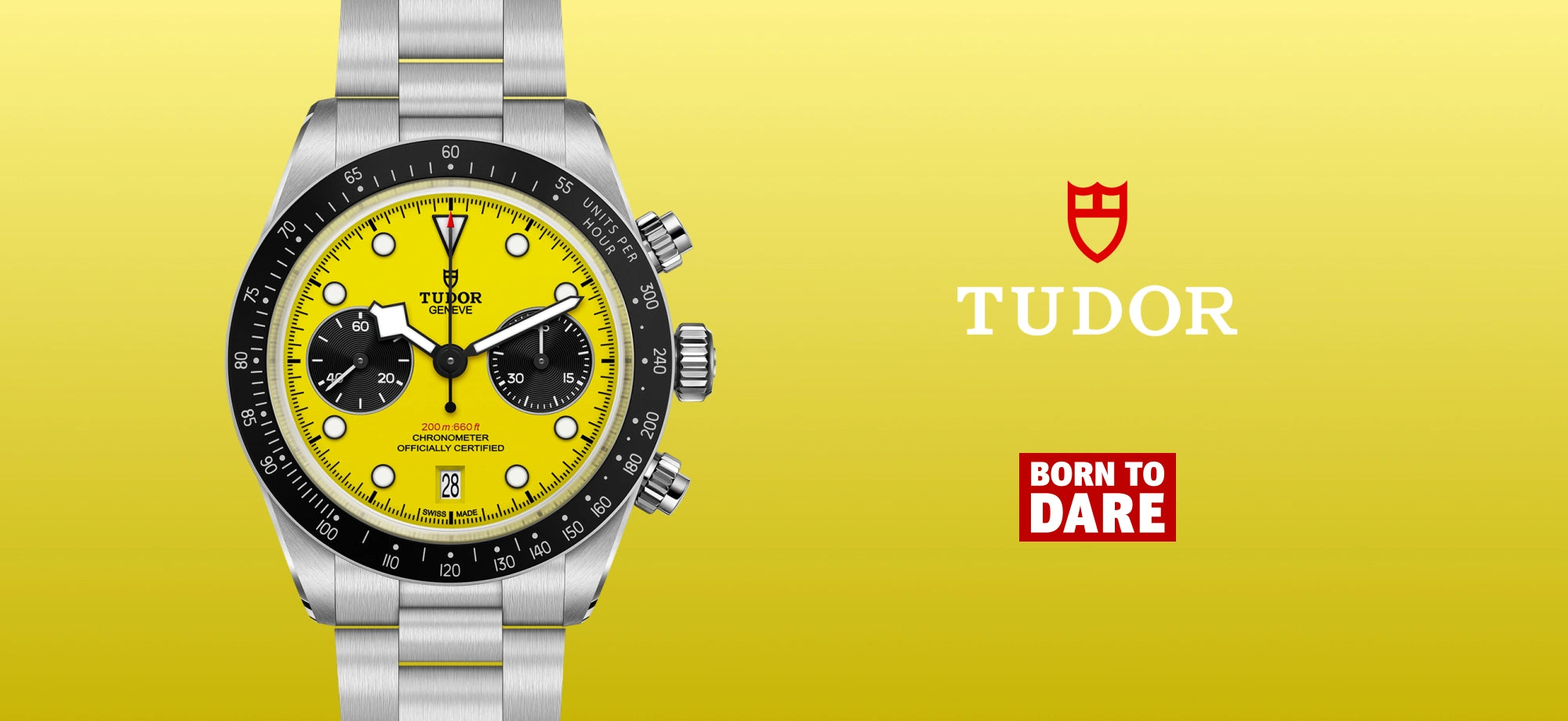 Tudor hero
